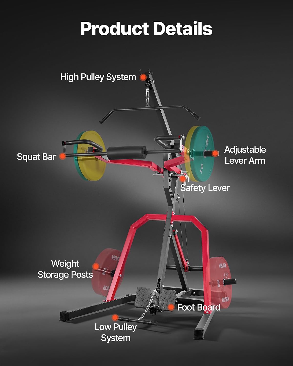 2:1 Ratio Leverage Home Gym