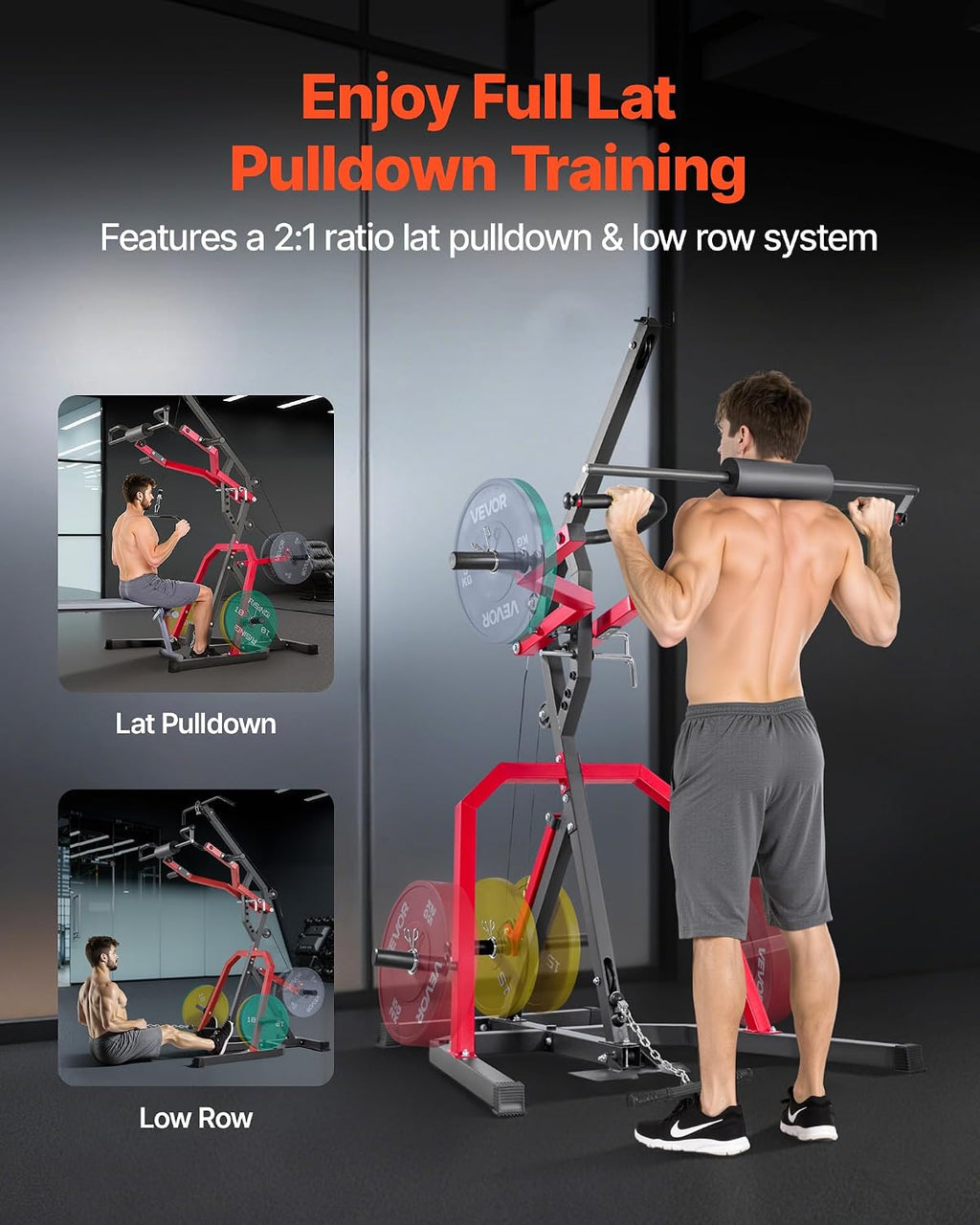 2:1 Ratio Leverage Home Gym