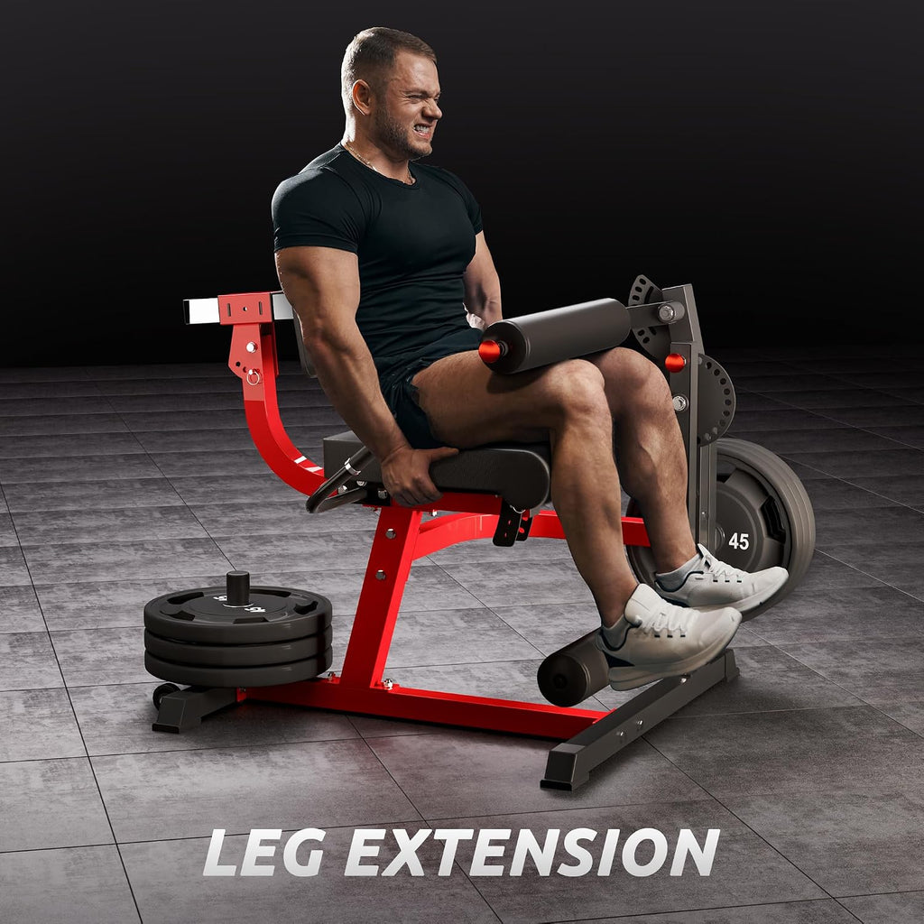 2-in-1 Leg Extension Curl Machine