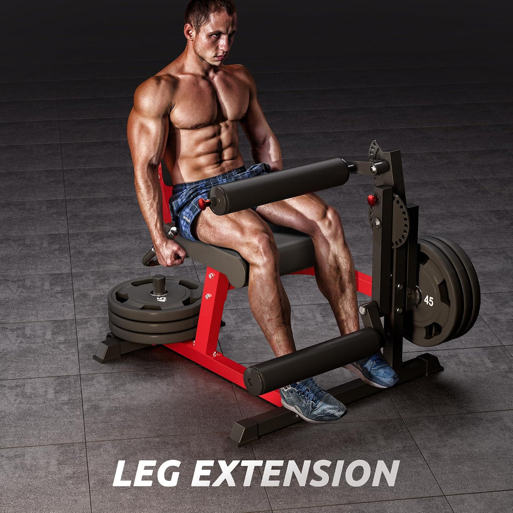 2-in-1 Leg Extension Curl Machine